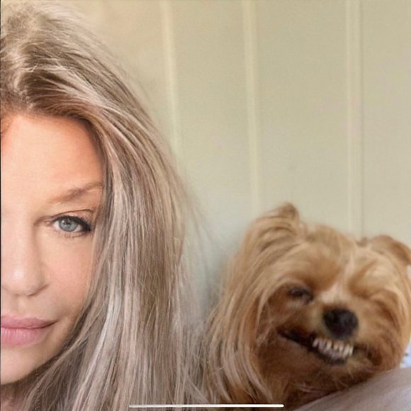 Meet your posher & Guinevere Yorkie! - Picture 4 of 16